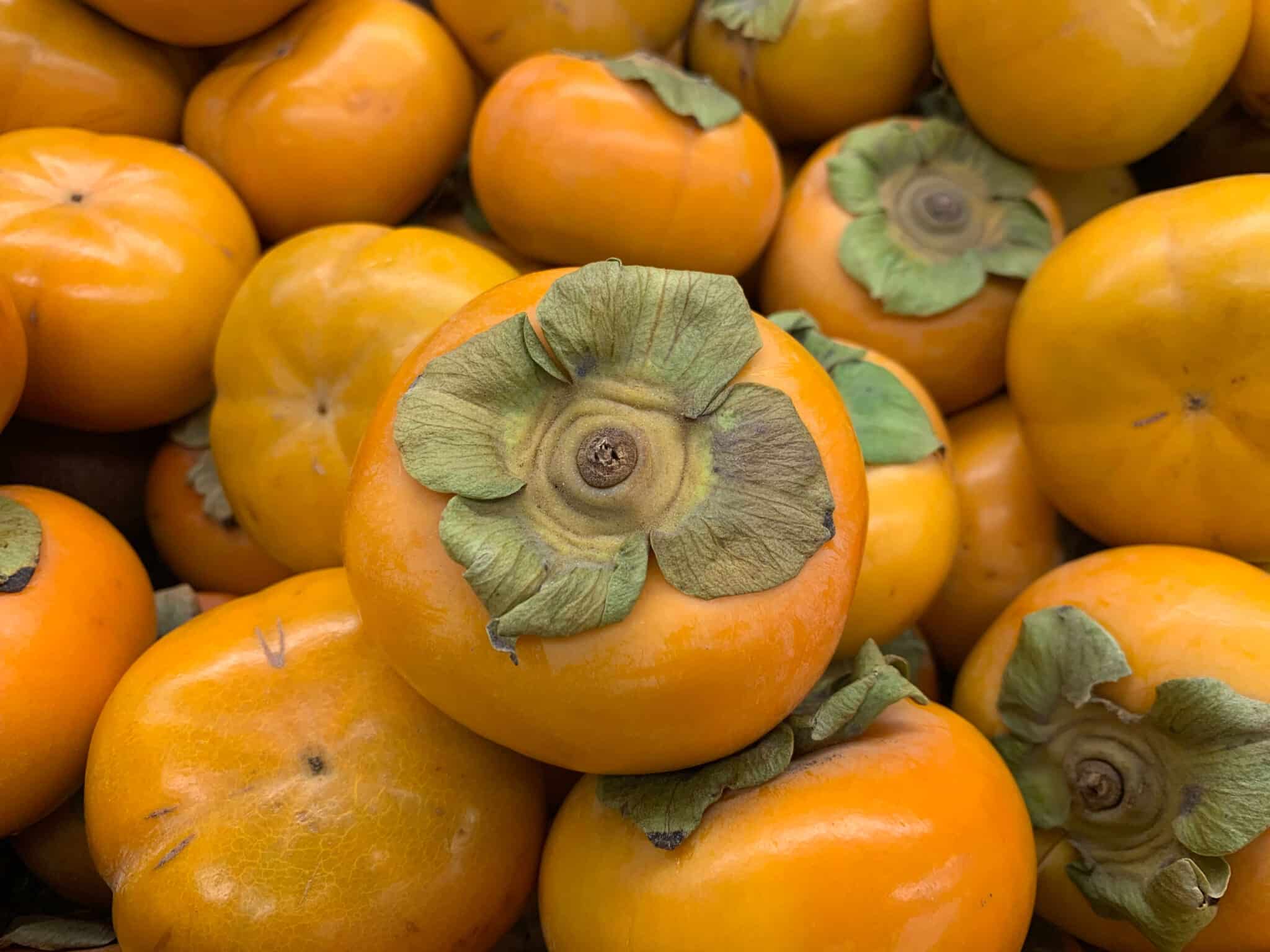 The Unsung Hero of Fruit: Why You Need Persimmons In Your Life Banner Image
