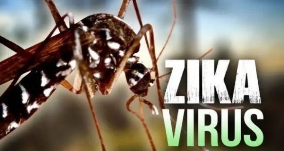 Understanding Zika Virus: Causes, Symptoms, and Mumbai's First Case